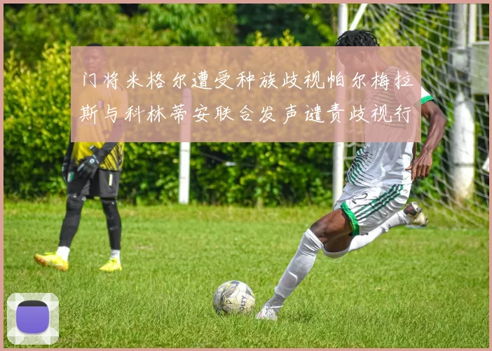 门将米格尔遭受种族歧视帕尔梅拉斯与科林蒂安联合发声谴责歧视行为